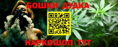 крисы Будённовск