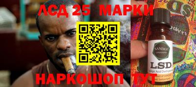 крисы Будённовск