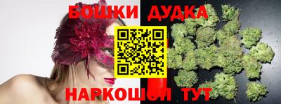 крисы Будённовск
