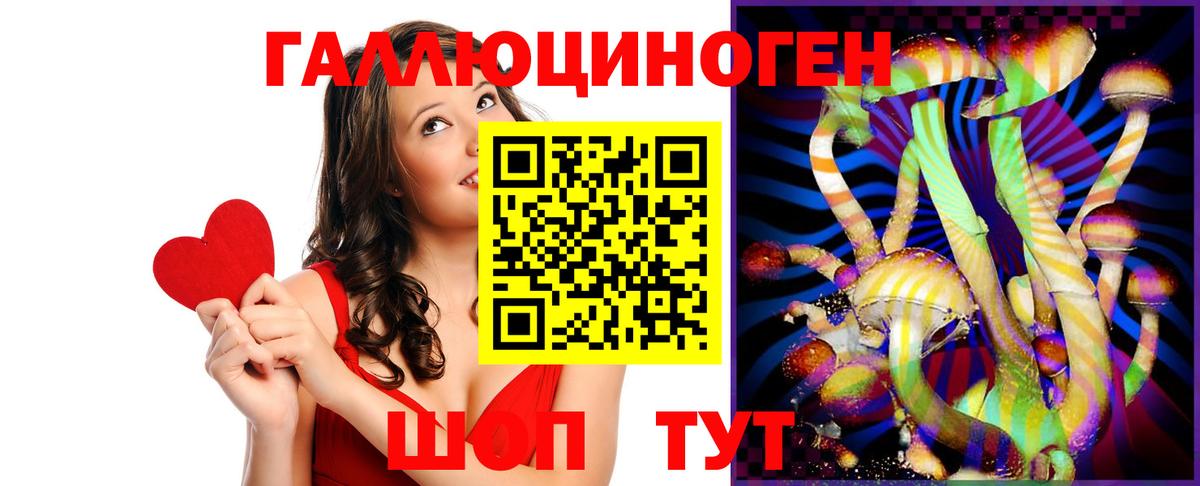 Галлюциногенные грибы Cubensis  Вход с VPN  Химки  Галлюциногенные грибы прущие грибы 