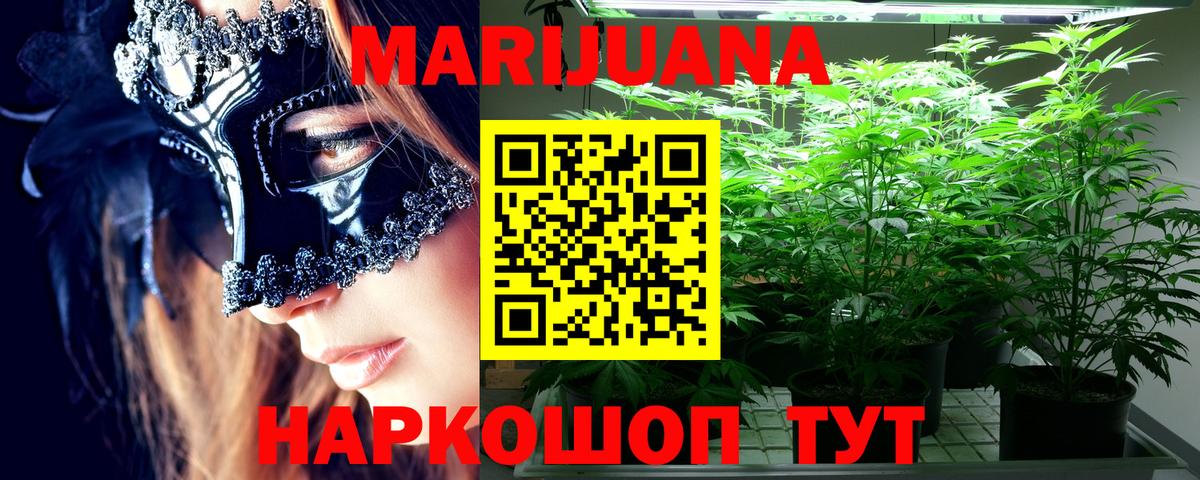 Канабис план  Канабис сатива  Вход с VPN  Канабис ГИДРОПОН  Химки 